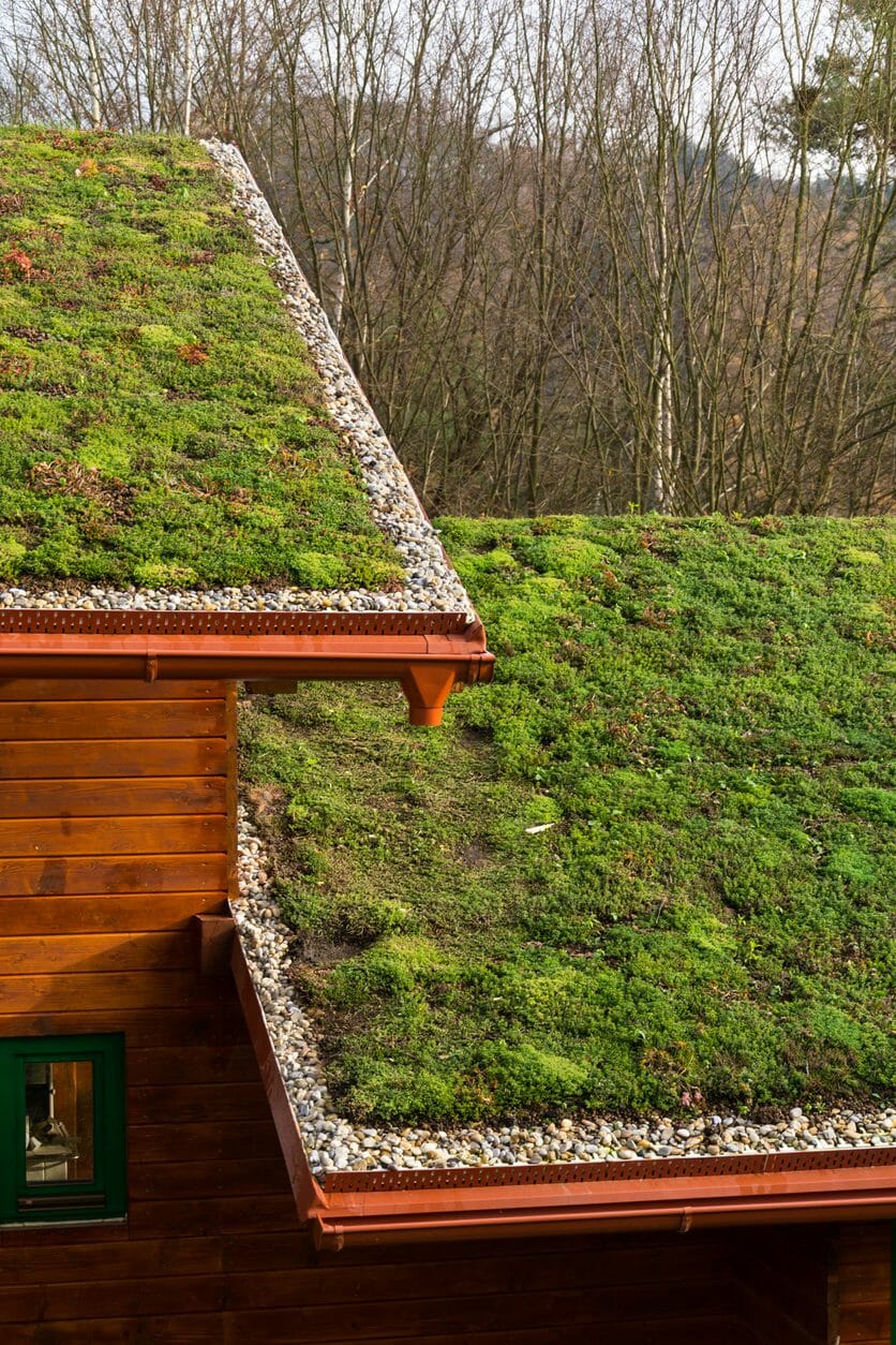 屋根に庭？草屋根にリフォームするメリット・デメリットを紹介します！